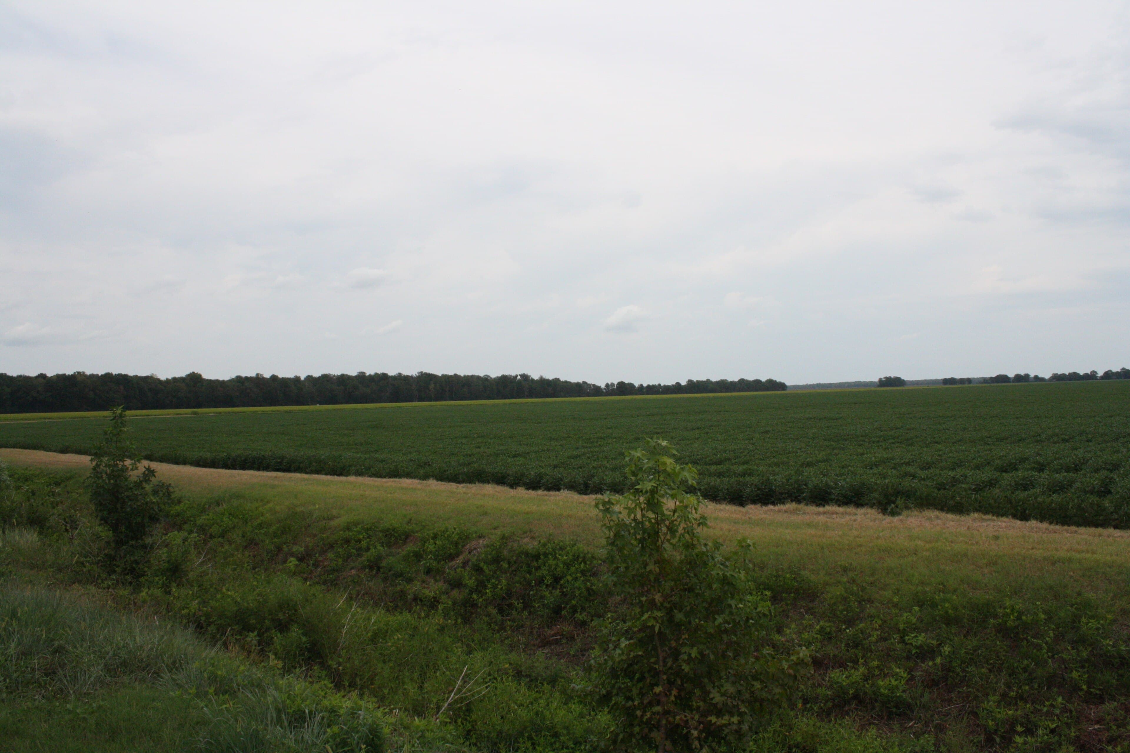 Clay County (Arkansas) — photo from Wikimedia via Wikipedia