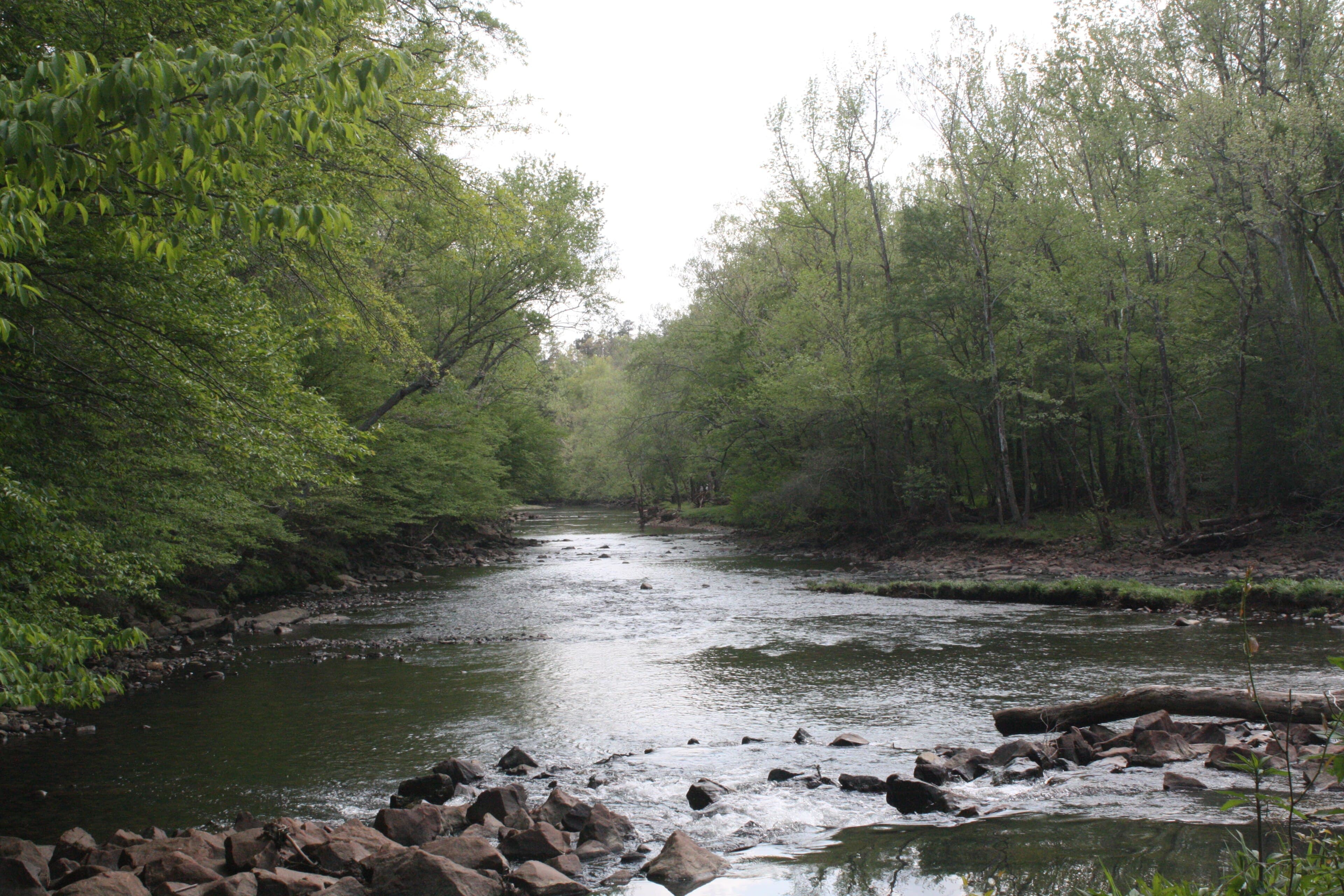 Pike County (Arkansas) — photo from Wikimedia via Wikipedia