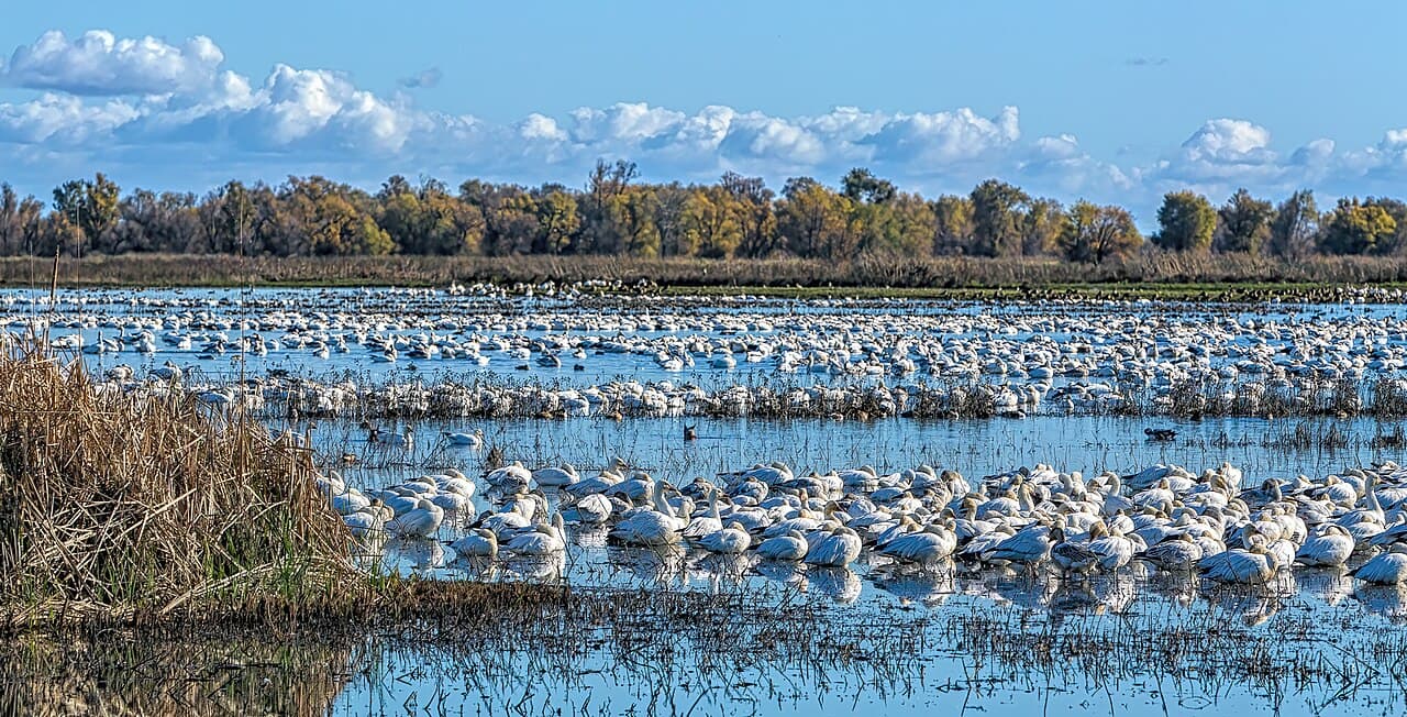Colusa County (California) — photo from Wikimedia via Wikipedia