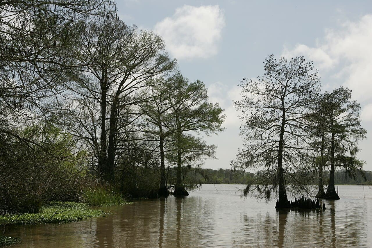 Cameron Parish (Louisiana) — photo from Wikimedia via Wikipedia