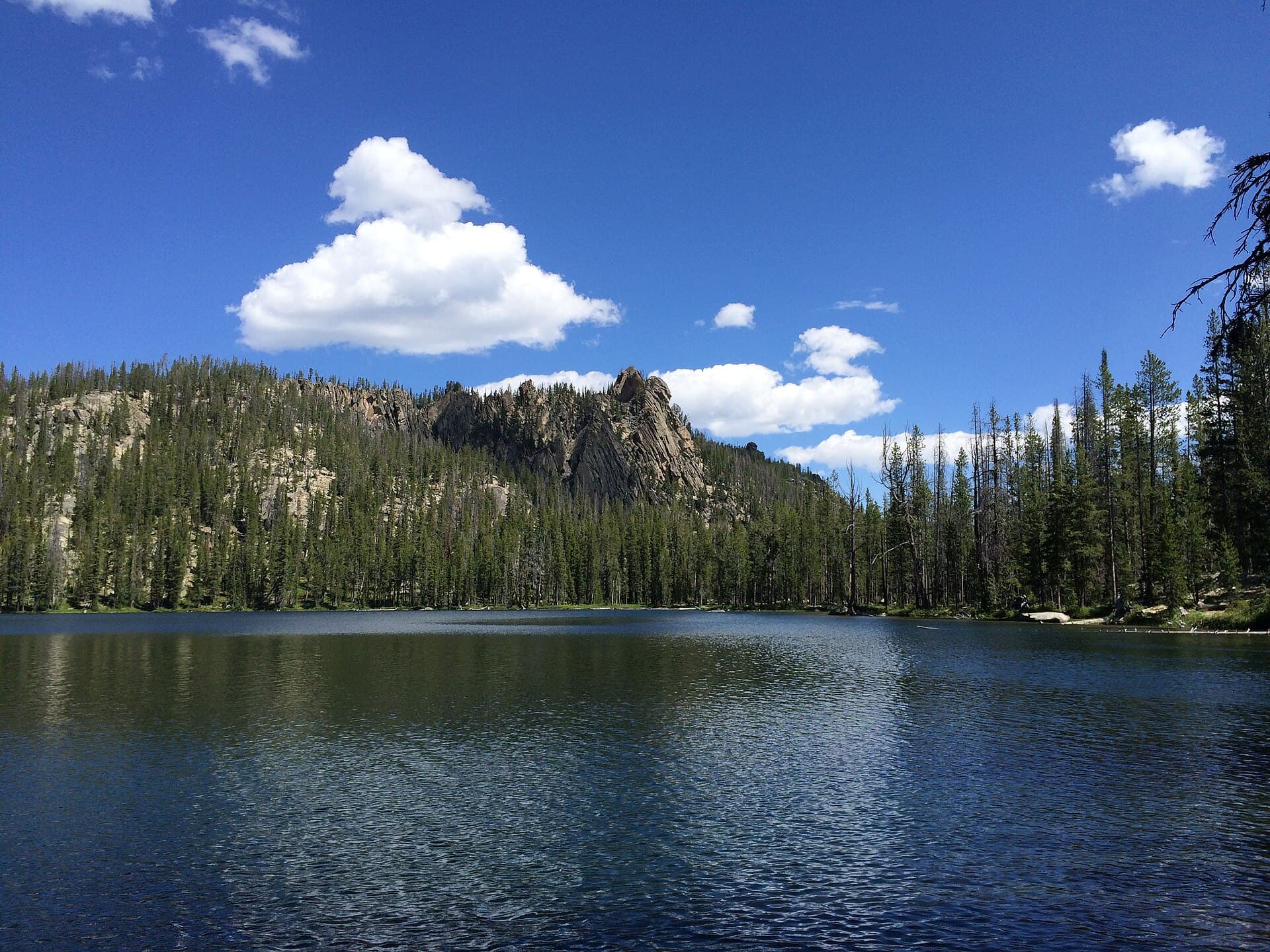 National Forest landscape, U.S. Forest Service