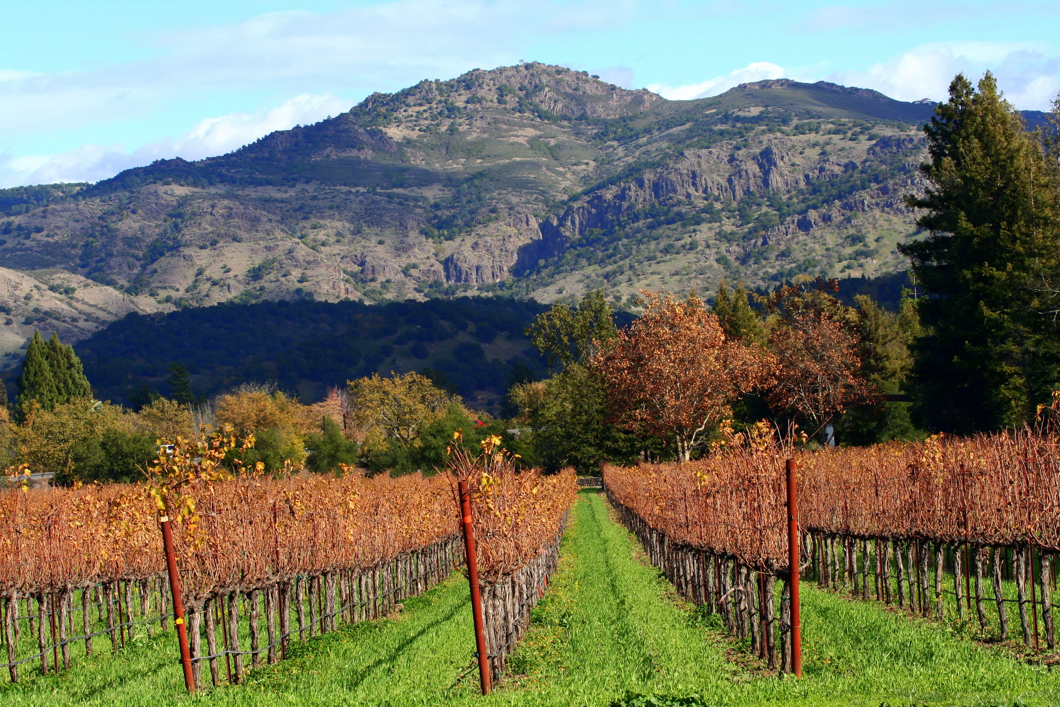 Napa County (California) — photo from Wikimedia via Wikipedia