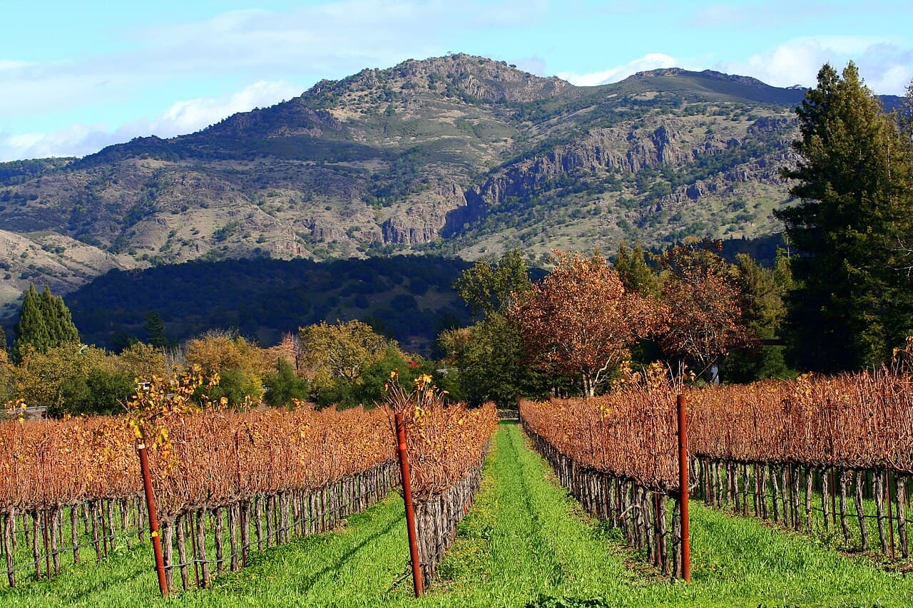 Napa County (California) — photo from Wikimedia via Wikipedia