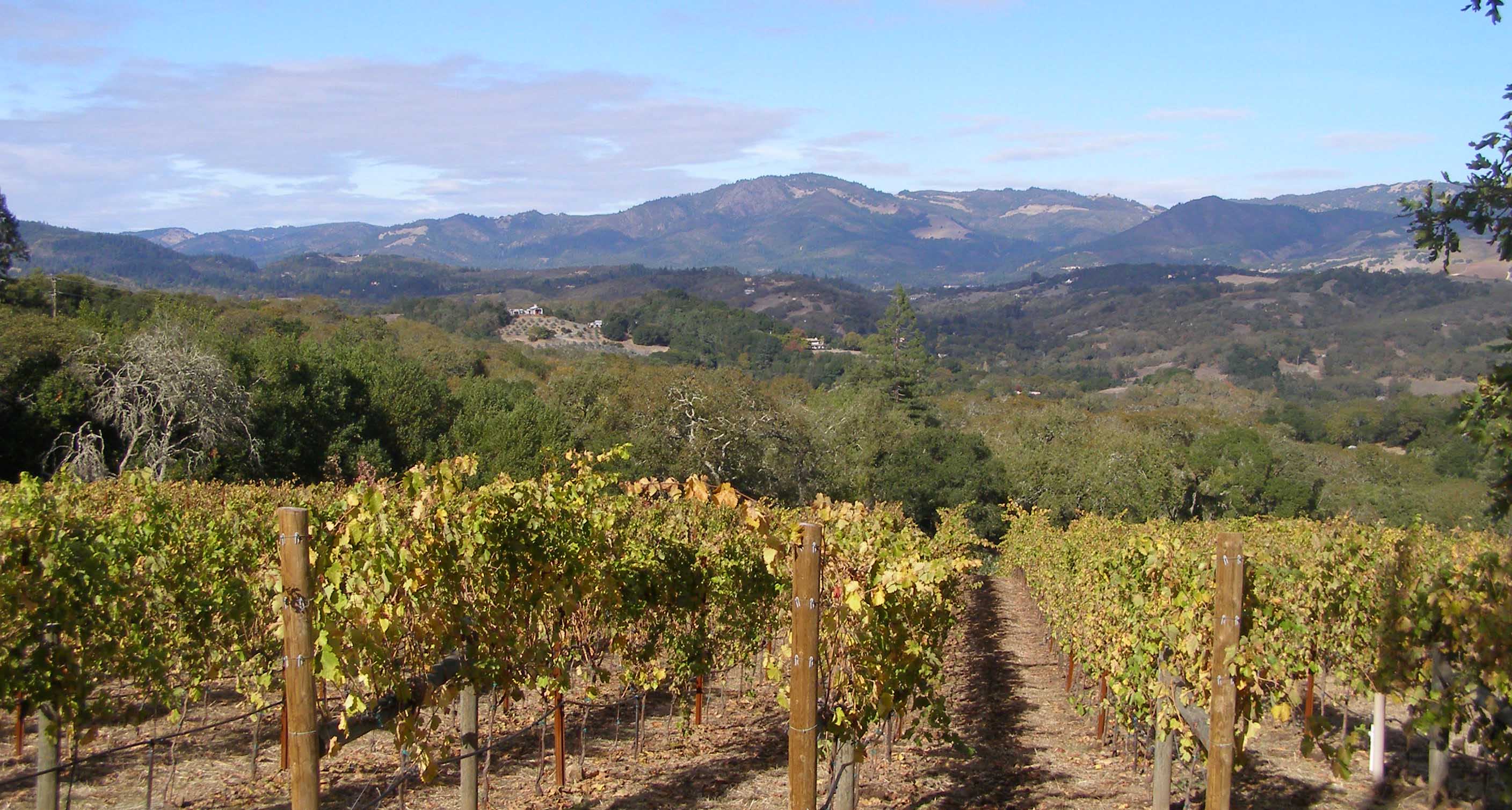 Sonoma County (California) — photo from Wikimedia via Wikipedia