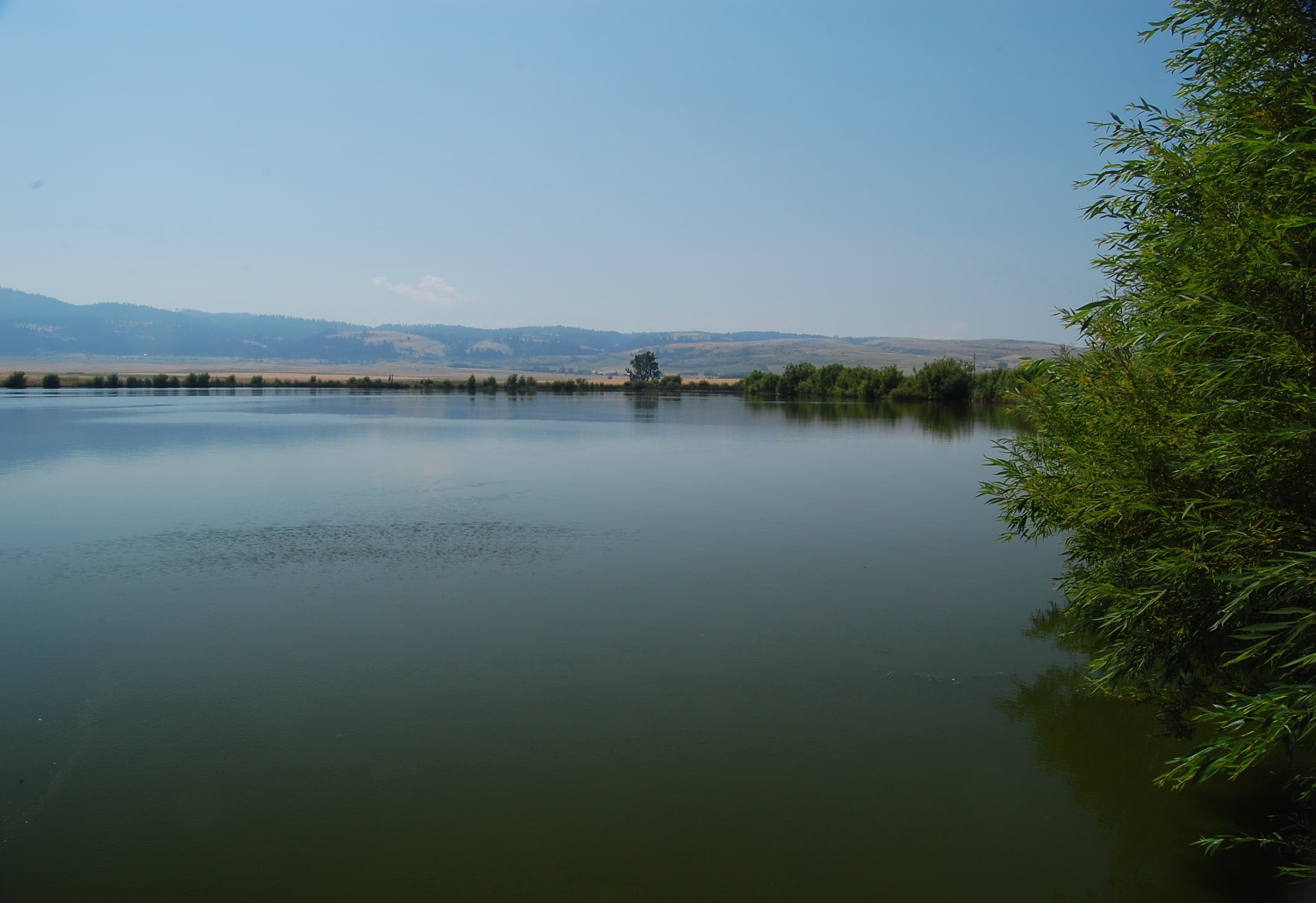 Idaho County (Idaho) — photo from Wikimedia via Wikipedia