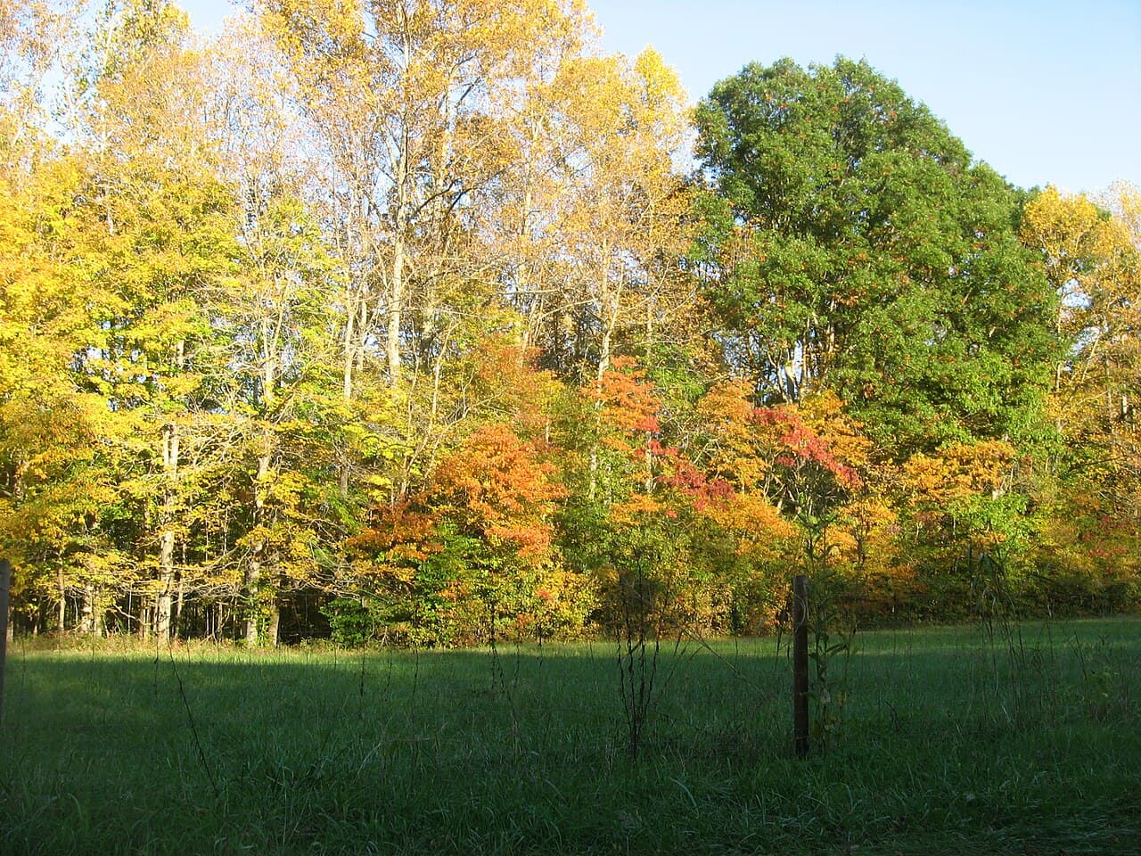 Lawrence County (Indiana) — photo from Wikimedia Commons