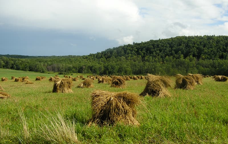 Steuben County (New York) — photo from Wikimedia via Wikipedia