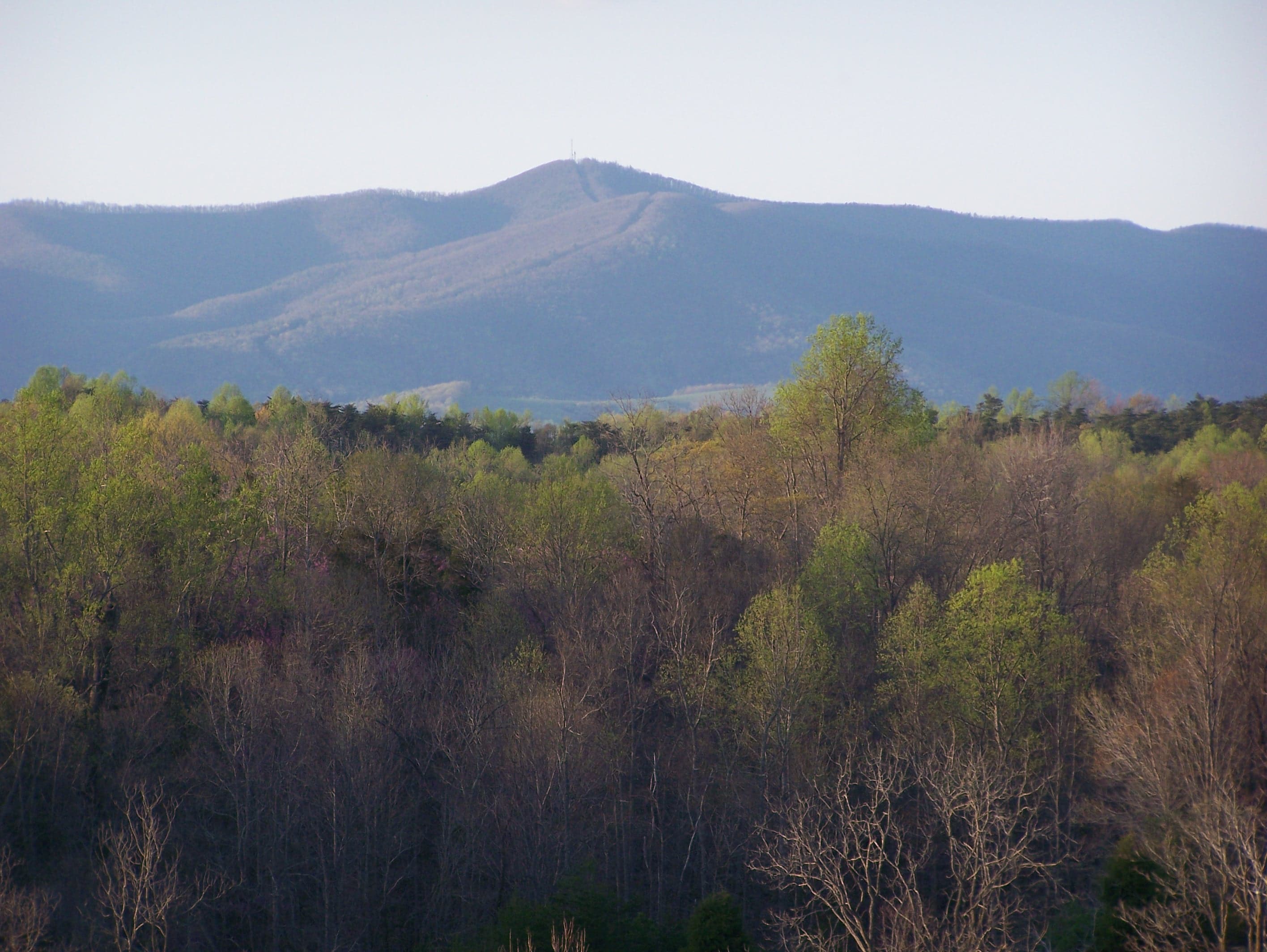 Patrick County (Virginia) — photo from Wikimedia via Wikipedia