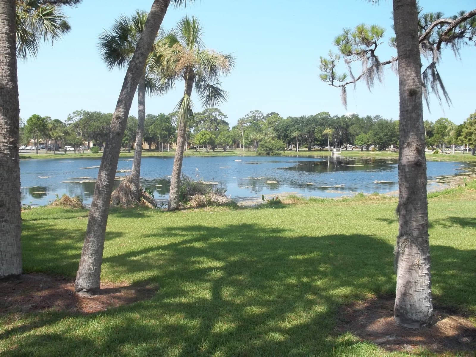Pinellas Bay Pines VA Advance hearing