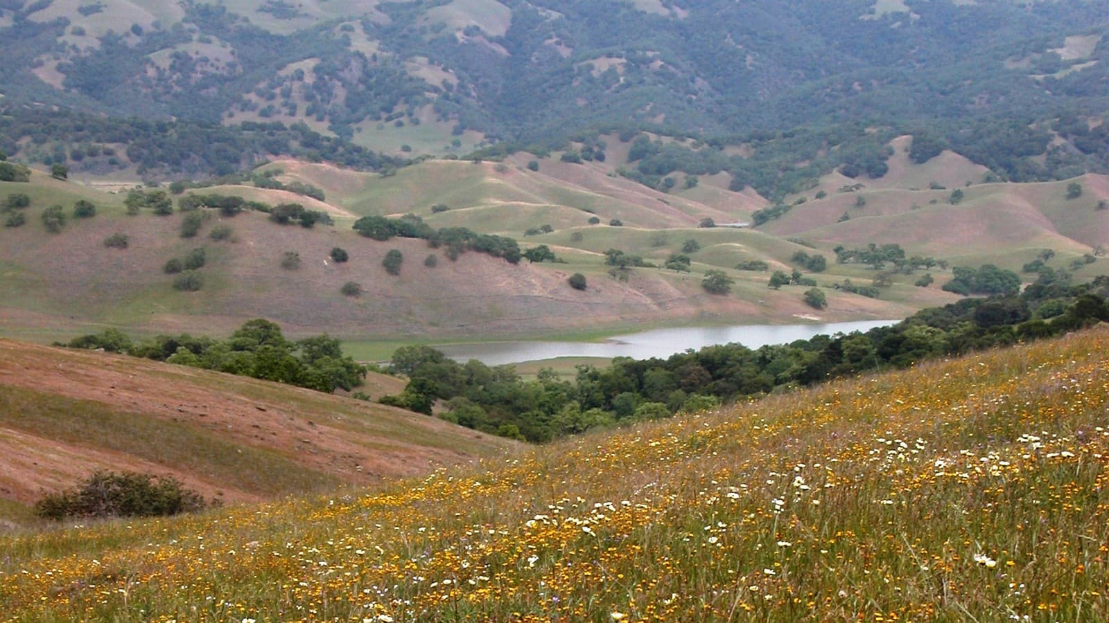 Coyote Valley with Anderson Lake in the background, Santa Clara County, California — file photo (USFWS Pacific Southwest Region, public domain).