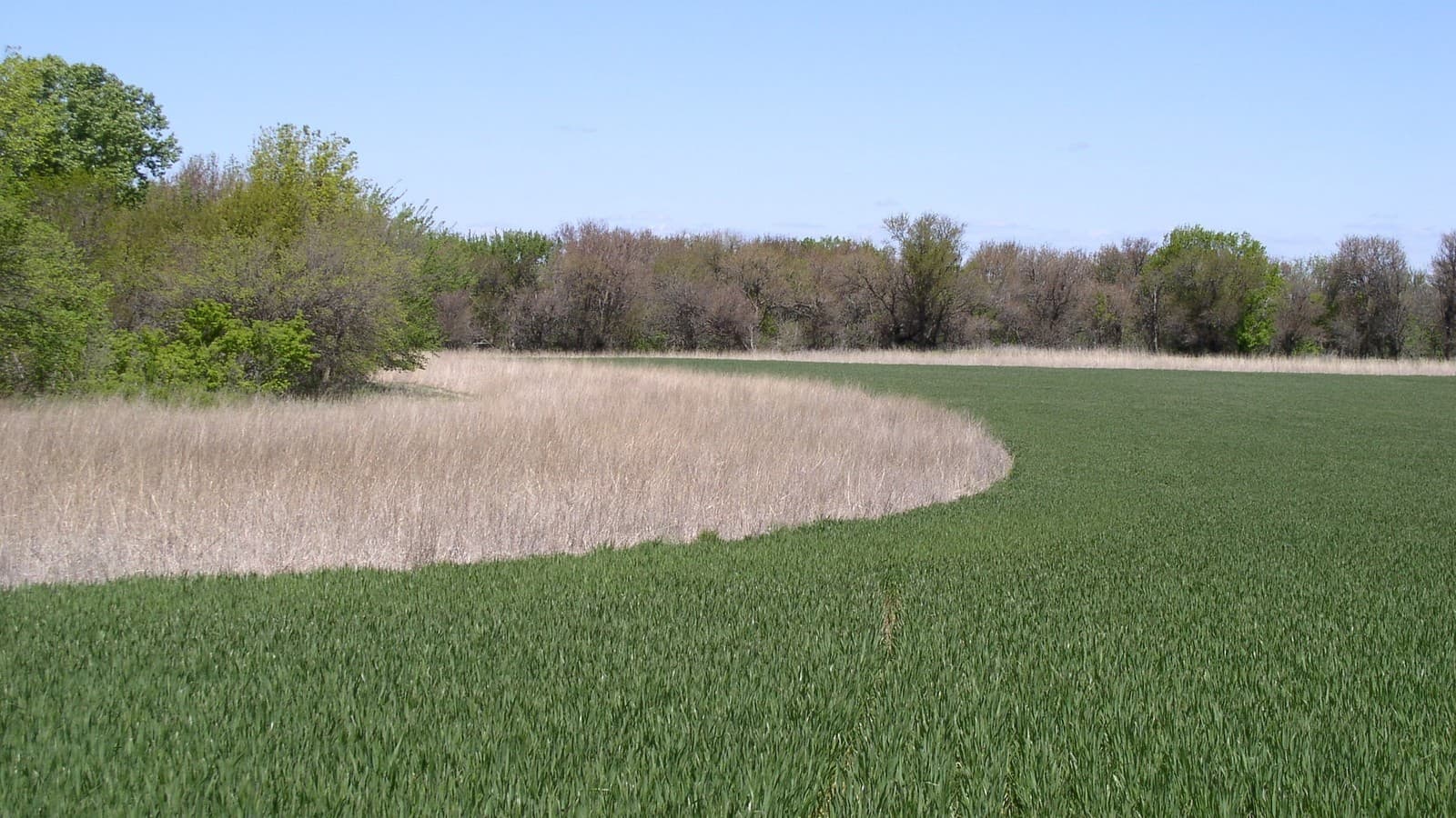 Farmland and a filter strip in Marion County, Kansas (illustrative, not the Franklin County parcels). Photo: USDA via Wikimedia Commons (Public domain).