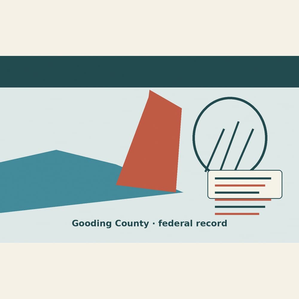 Gooding NN Wonalert Desert Airport bid