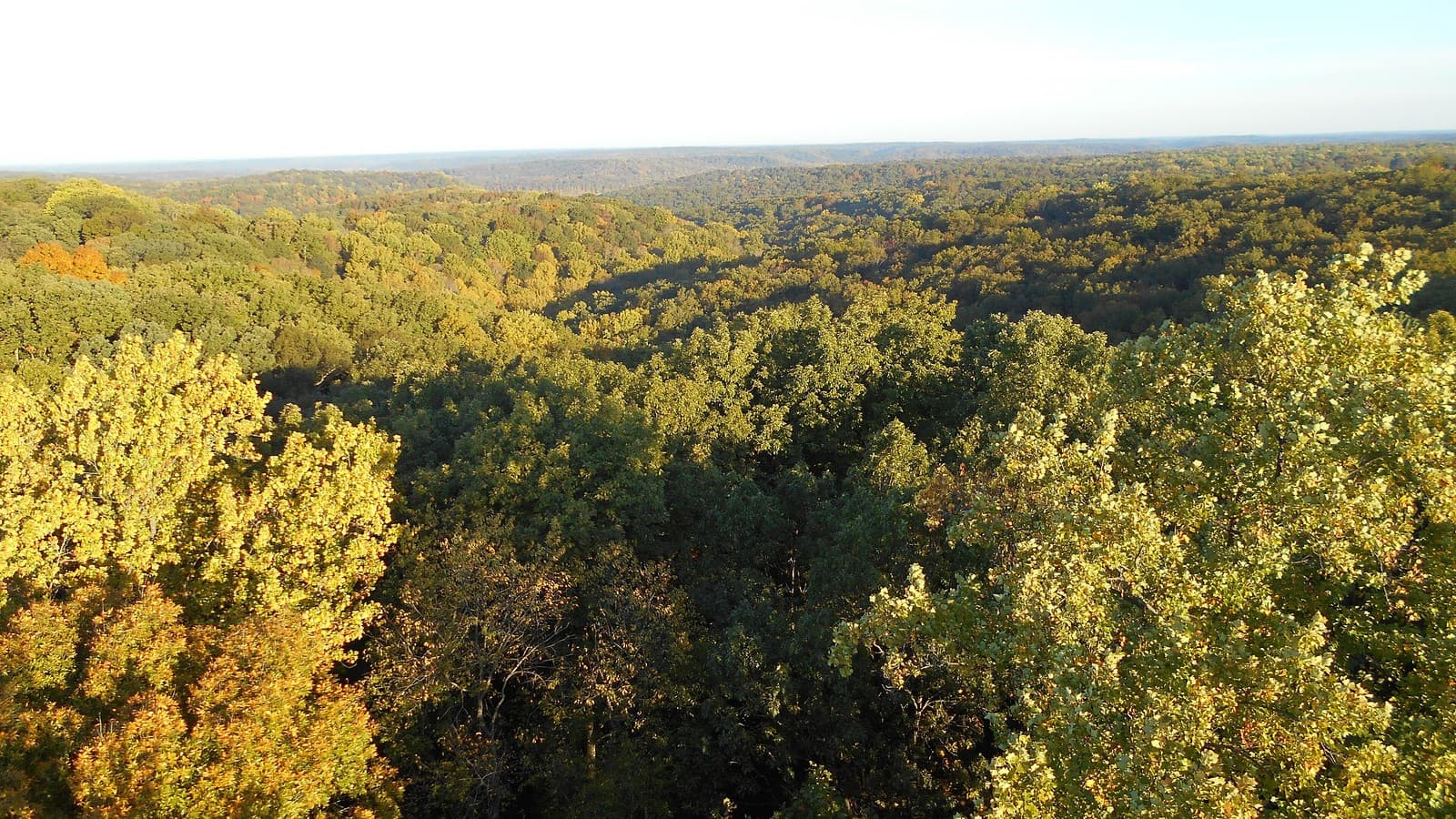 Fall color from the lookout tower in the Charles C. Deam Wilderness, Hoosier National Forest, Indiana (illustrative, not the Sigler Creek area). Photo: usfs_Eastern_Region via Wikimedia Commons (Public domain).