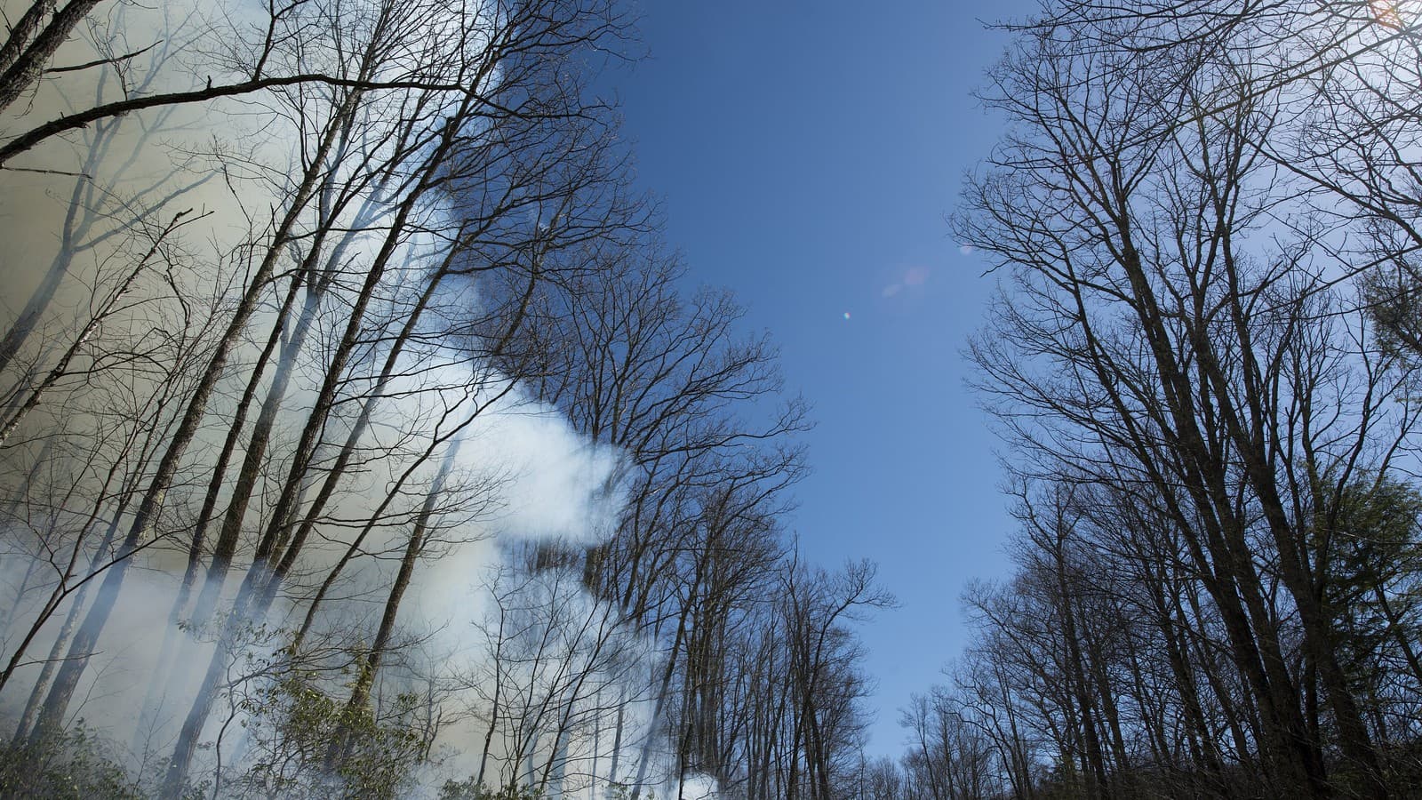 Smoke rises from a prescribed burn on the Monongahela National Forest, West Virginia, May 1, 2018 (file photo, not this fall's burns).