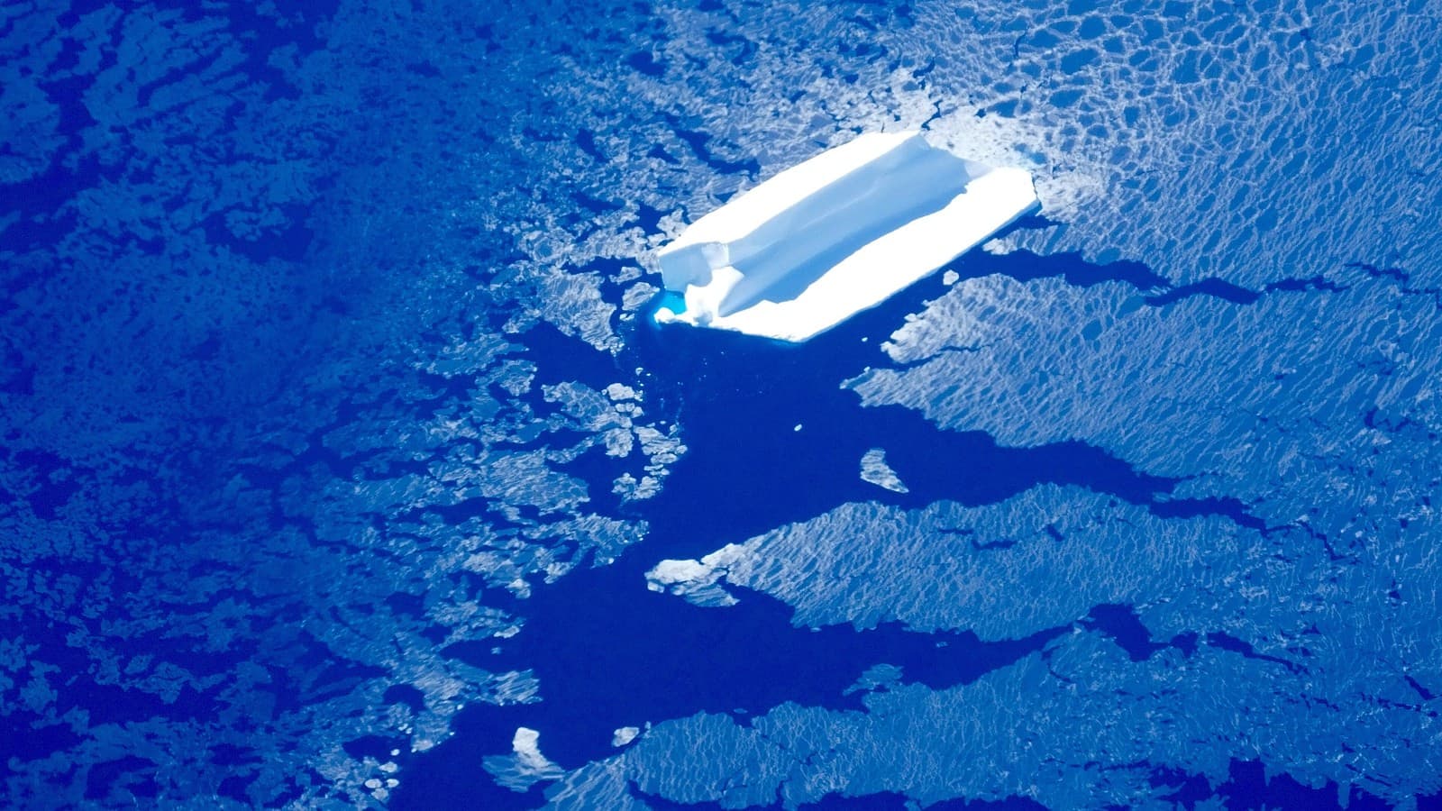 Iceberg and sea ice near Adelaide Island, west of the Antarctic Peninsula, photographed from a NASA Operation IceBridge flight in November 2016 (file photo).