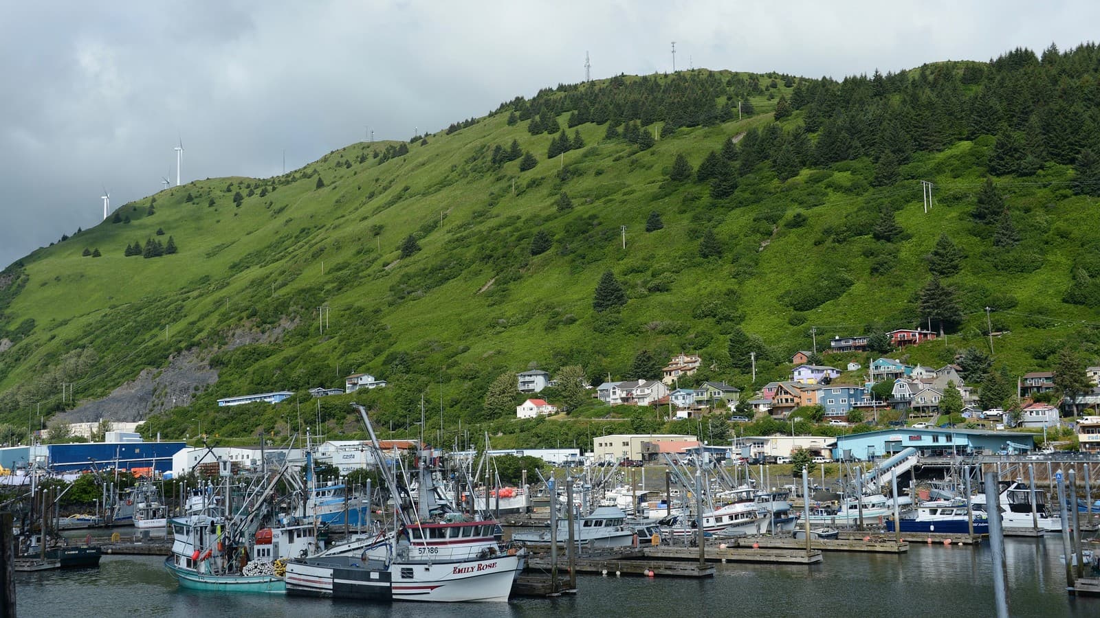Kodiak harbor, Alaska, in July 2021 (file photo).