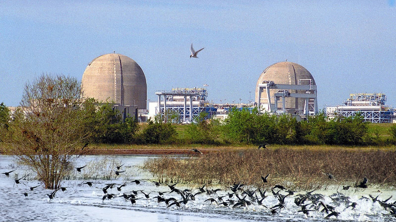 South Texas Nuclear Generating Station (South Texas Project), public-domain file photo via Wikimedia Commons / NRC. Illustrative Texas Gulf Coast nuclear plant — not the Blue Energy Center–Port of Victoria site.
