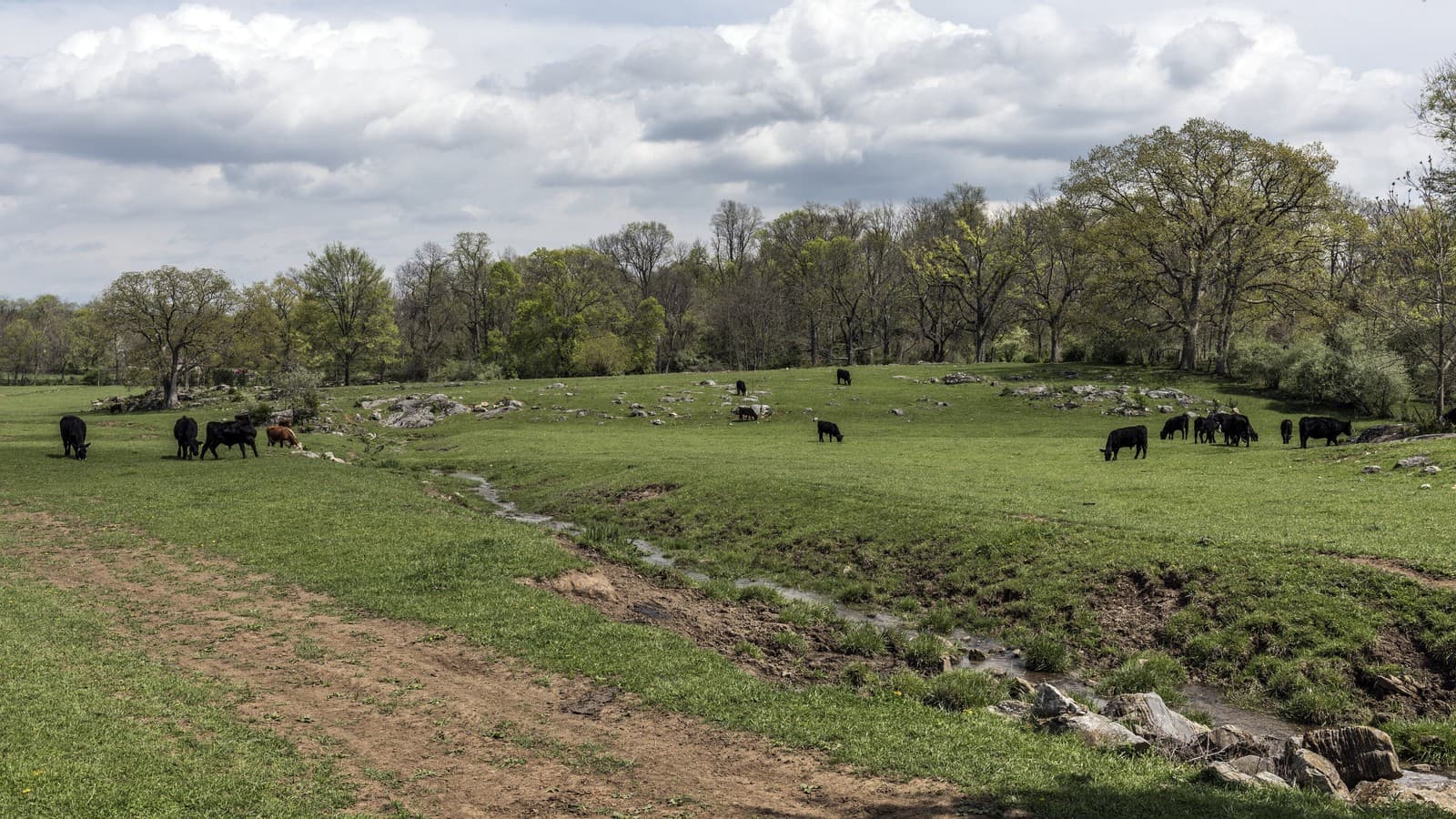 Rural scene in Berkeley County, West Virginia. Photo: Carol M. Highsmith, Library of Congress, public domain, via Wikimedia Commons.