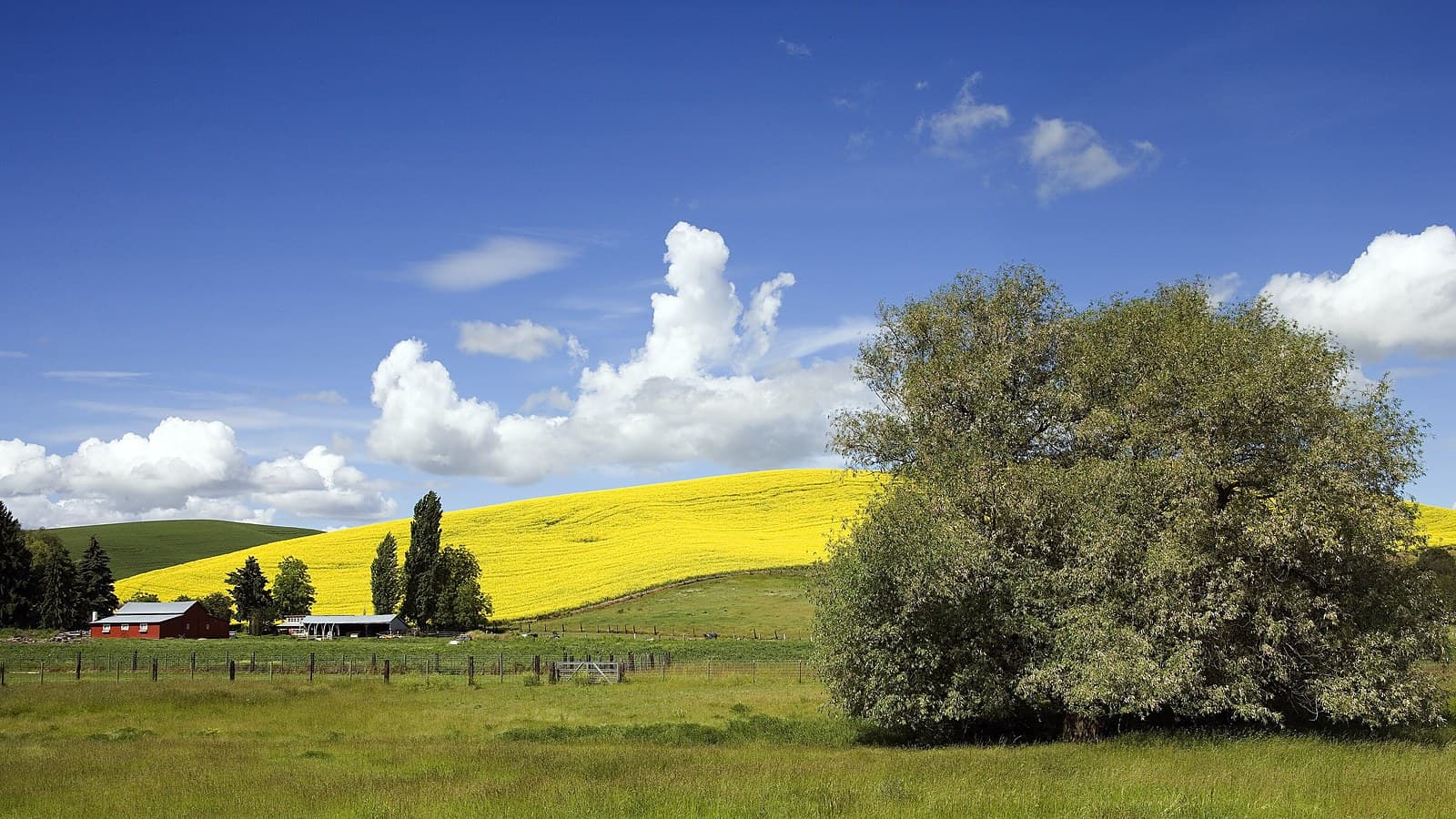 Idaho farm and field (illustrative rural Idaho scene; not the property). Photo: Carol M. Highsmith, Library of Congress, public domain, via Wikimedia Commons.