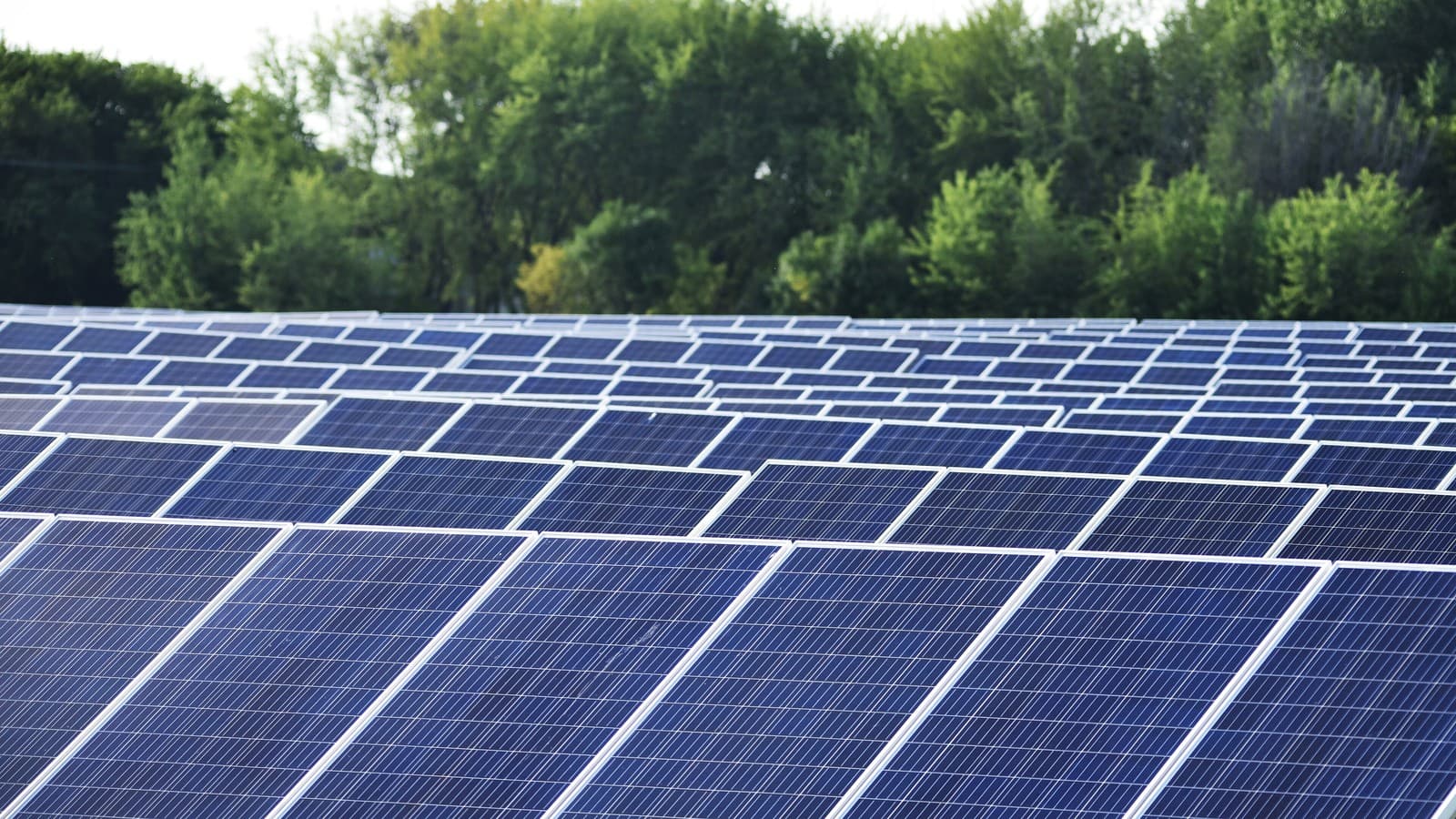 Solar panels on an old farm field in Minnesota — illustrative file photo (USFWS / Courtney Celley, public domain).