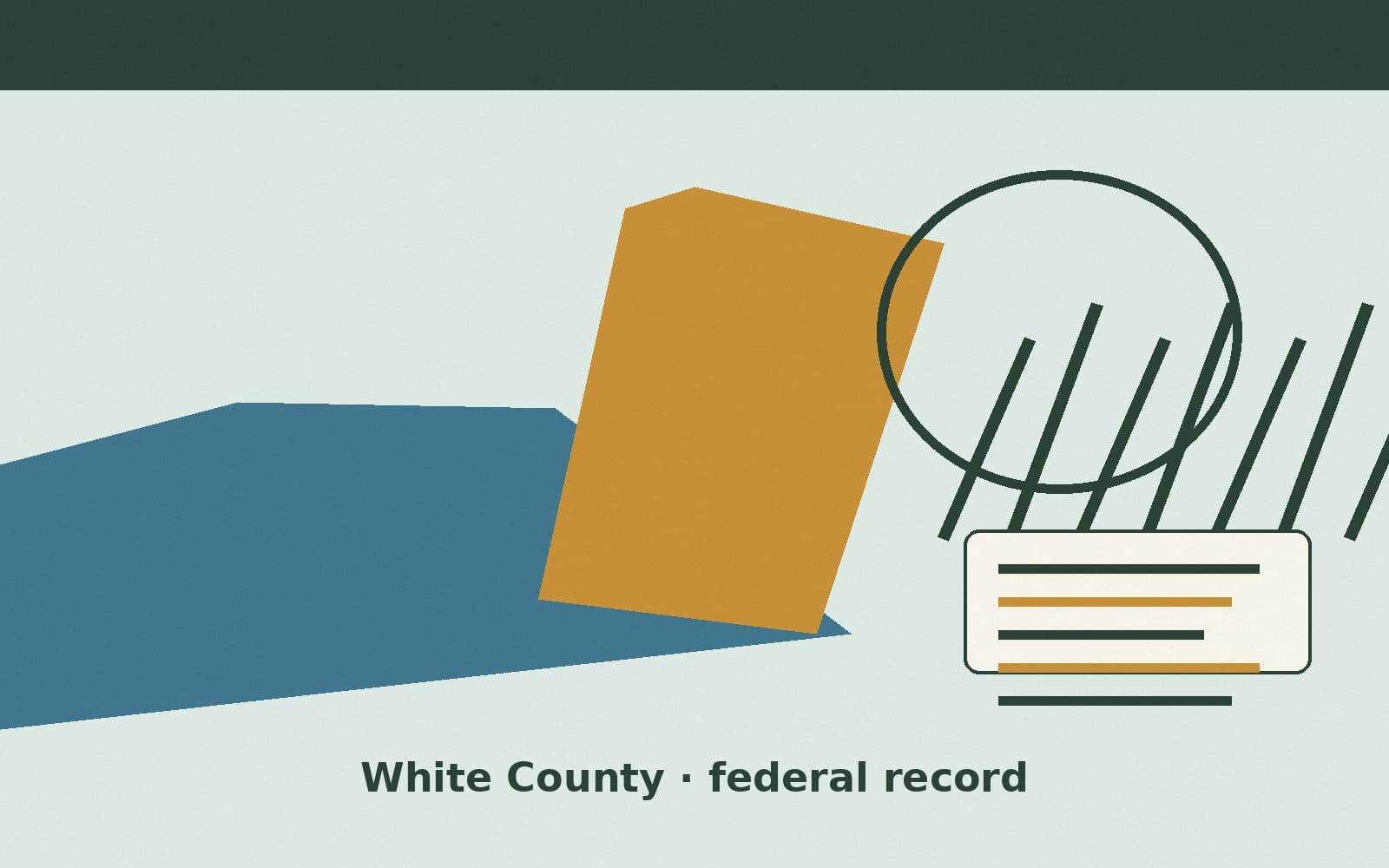 Public notice. White County, Georgia, has a federal award on the public books. On August 11, 2026, the Institute of Museum and Library Services recorded a project grant of $23,743.
