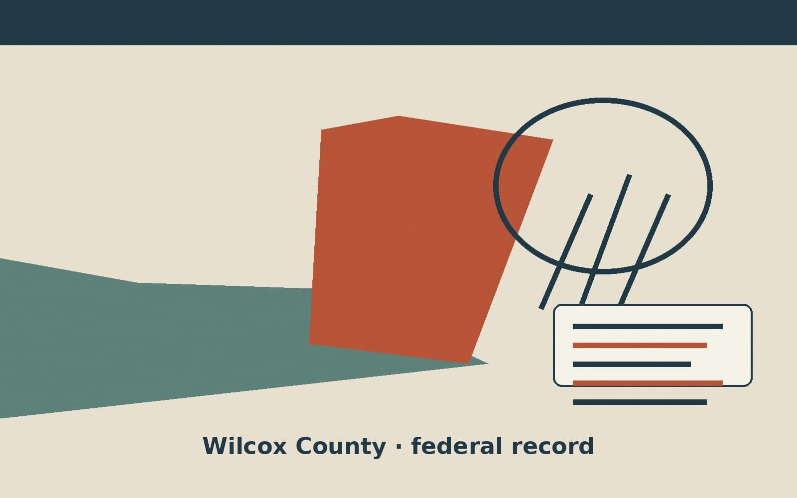 Public notice. Wilcox County, Georgia, has a federal award on the public books. On August 18, 2026, the Department of Housing and Urban Development recorded a formula grant of $378