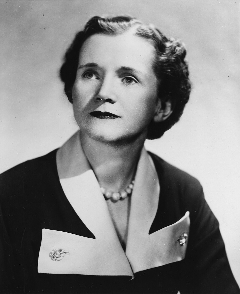 Portrait of Rachel Carson
