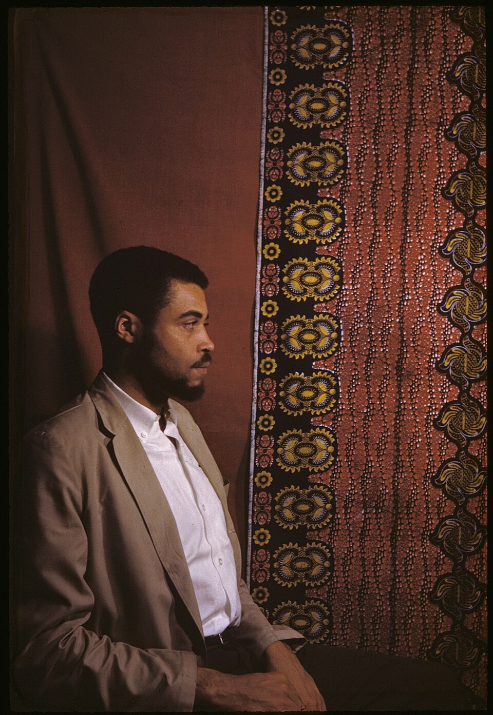 Portrait of James Earl Jones